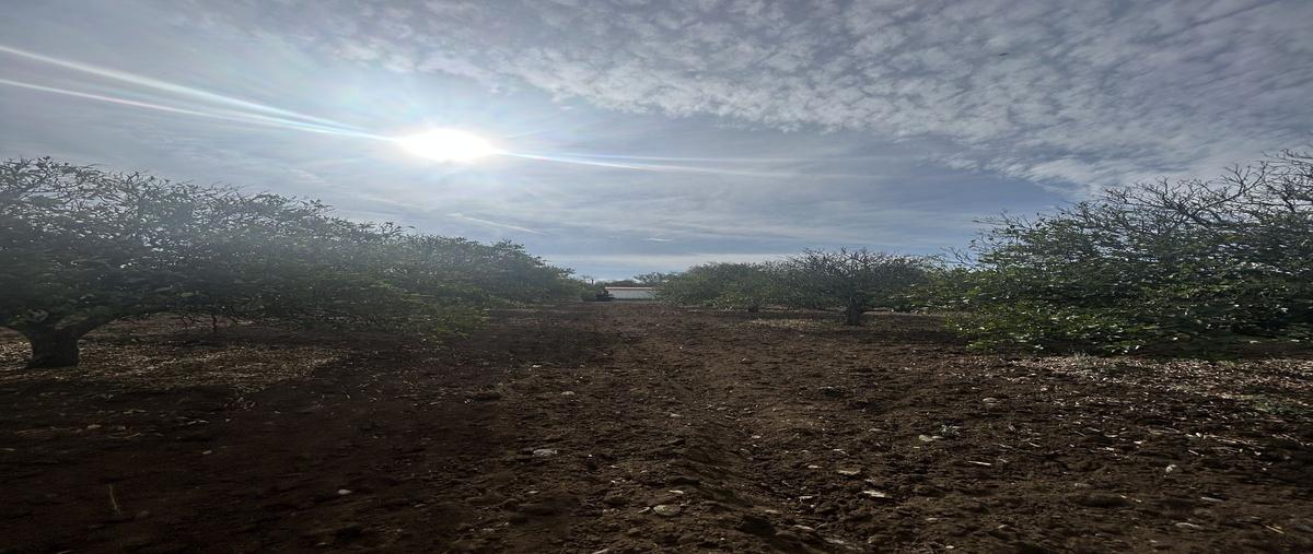 Foto de terreno habitacional en venta en  , san isidro, cadereyta jiménez, nuevo león, 0 No. 03