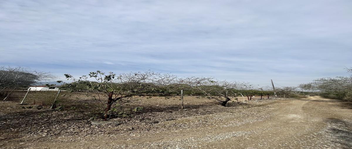 Foto de terreno habitacional en venta en  , san isidro, cadereyta jiménez, nuevo león, 0 No. 04