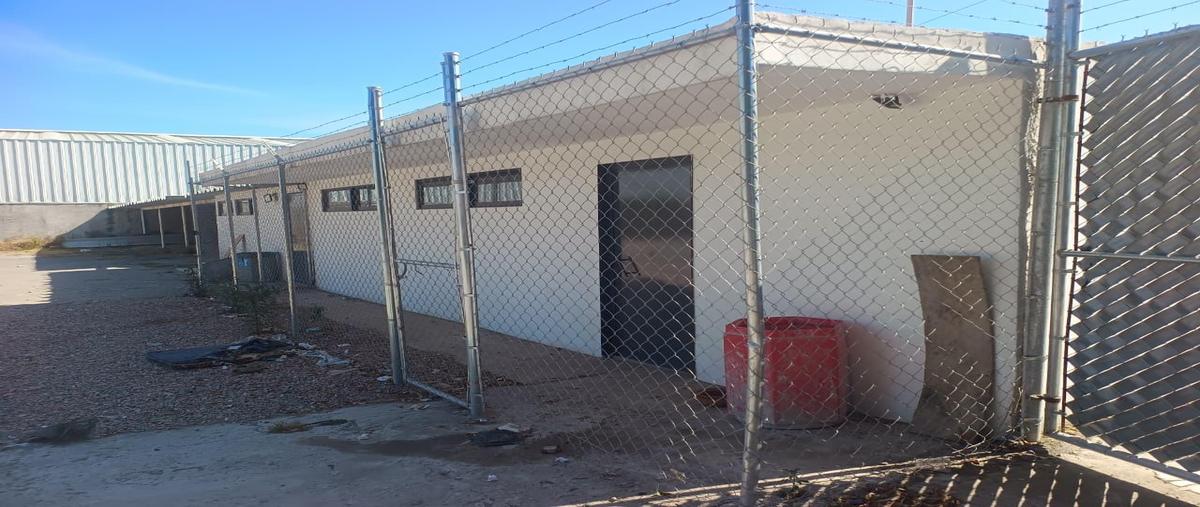 Foto de terreno comercial en renta en  , san isidro castillotla, puebla, puebla, 0 No. 05