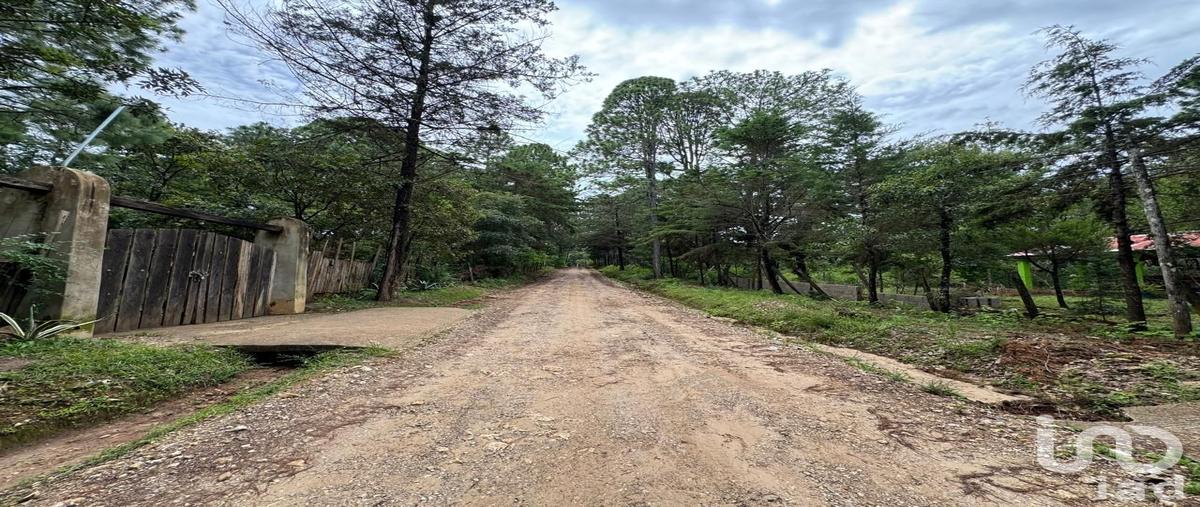 Foto de terreno habitacional en venta en san isidro chijilte , chijiltec (san isidro), teopisca, chiapas, 0 No. 03