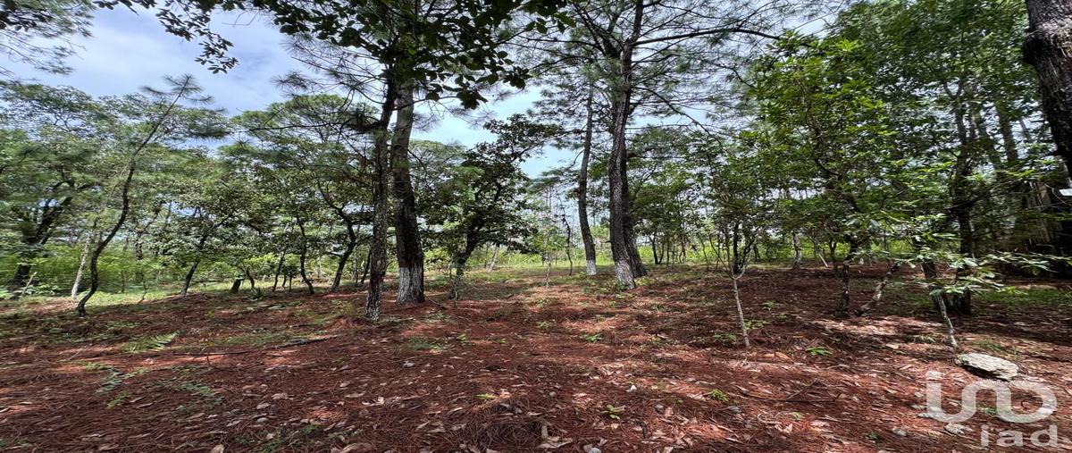 Foto de terreno habitacional en venta en san isidro chijilte , chijiltec (san isidro), teopisca, chiapas, 0 No. 04
