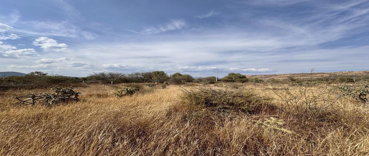 Foto de terreno habitacional en venta en  , san isidro, colón, querétaro, 0 No. 04