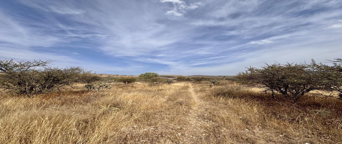 Foto de terreno habitacional en venta en  , san isidro, colón, querétaro, 0 No. 05