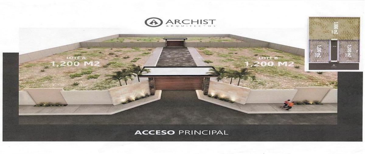 Foto de terreno habitacional en venta en  , san isidro de las palomas, arteaga, coahuila de zaragoza, 0 No. 03