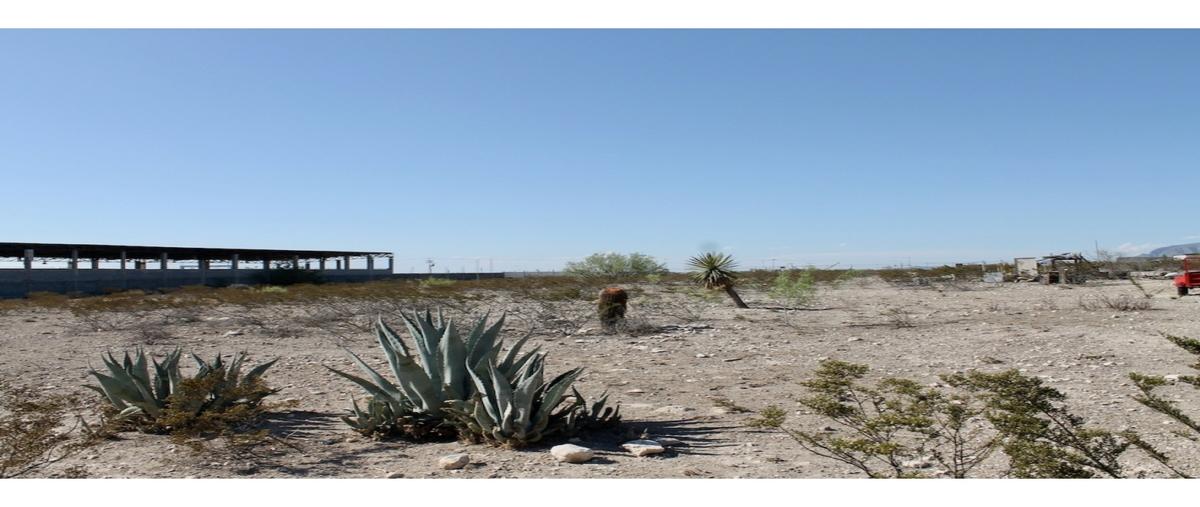 Foto de terreno habitacional en venta en  , san isidro de las palomas, arteaga, coahuila de zaragoza, 0 No. 04
