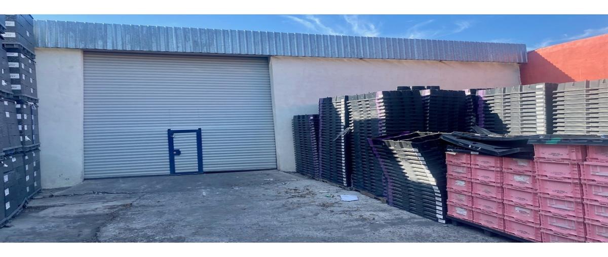 Foto de bodega en venta en  , san isidro de las palomas, arteaga, coahuila de zaragoza, 0 No. 05