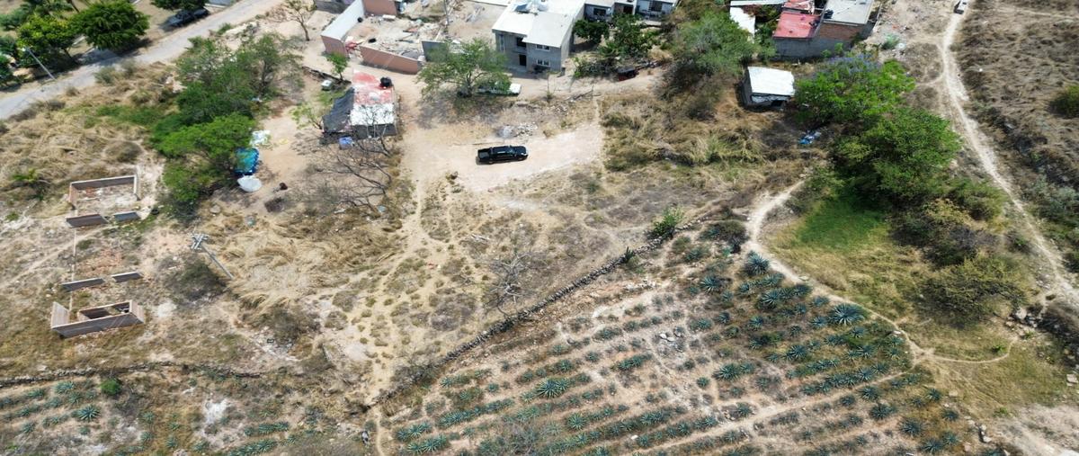 Foto de terreno habitacional en venta en  , san isidro ejidal, zapopan, jalisco, 0 No. 03