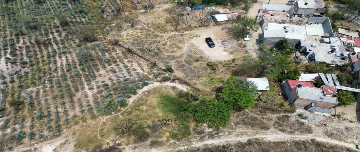 Foto de terreno habitacional en venta en  , san isidro ejidal, zapopan, jalisco, 0 No. 04