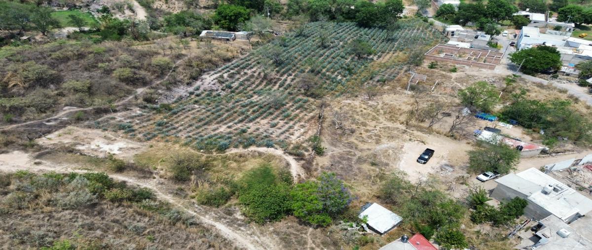 Foto de terreno habitacional en venta en  , san isidro ejidal, zapopan, jalisco, 0 No. 05