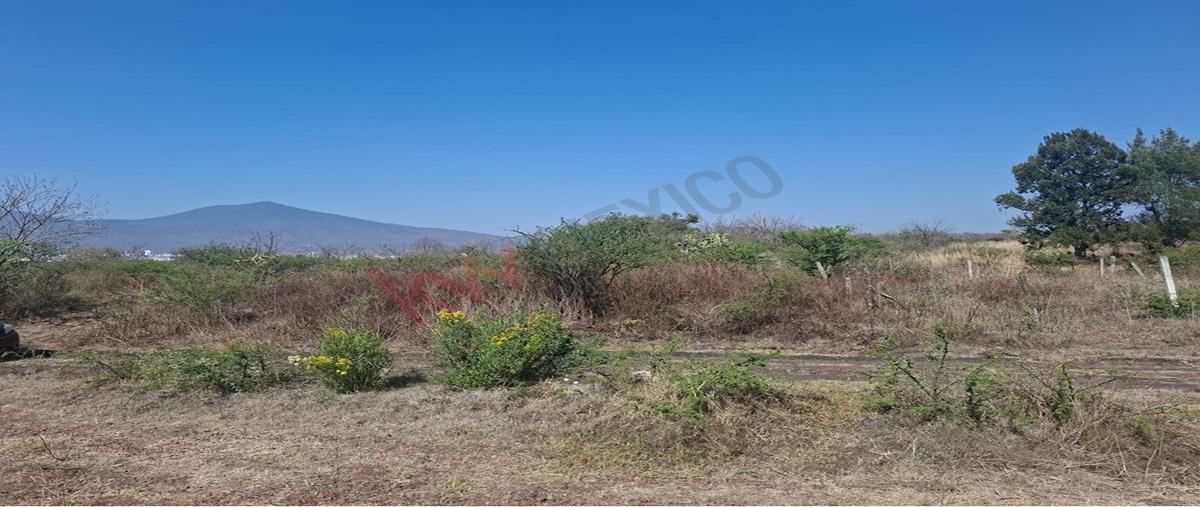 Foto de terreno habitacional en venta en san isidro itzicuaro , san isidro itzícuaro, morelia, michoacán de ocampo, 0 No. 03