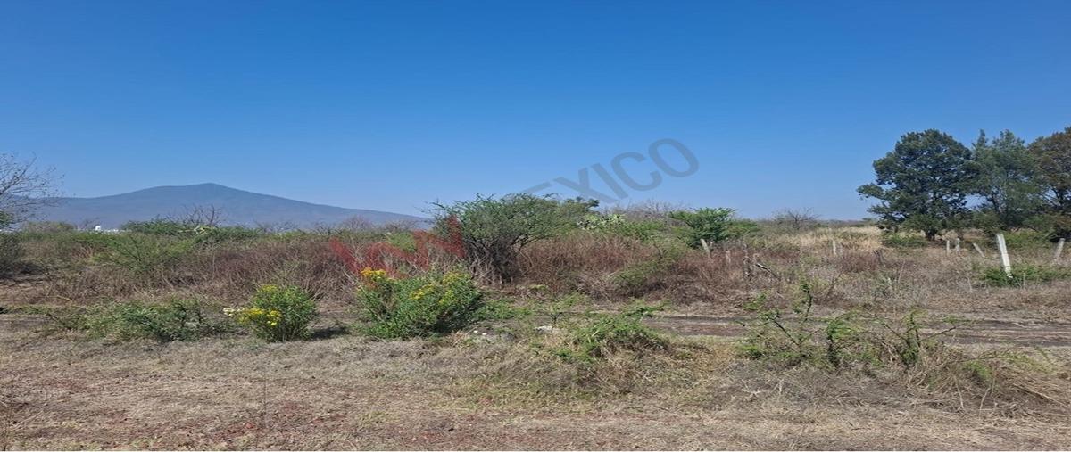 Foto de terreno habitacional en venta en san isidro itzicuaro , san isidro itzícuaro, morelia, michoacán de ocampo, 0 No. 04