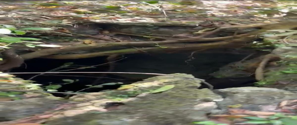 Foto de terreno habitacional en venta en  , san isidro kilómetro catorce (san isidro), tizimín, yucatán, 27681238 No. 03