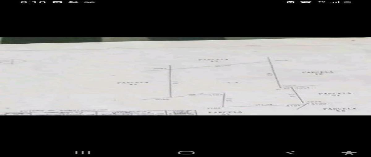 Foto de terreno habitacional en venta en  , san isidro kilómetro catorce (san isidro), tizimín, yucatán, 27681238 No. 04