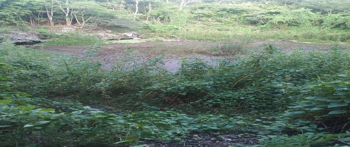 Foto de terreno habitacional en venta en  , san isidro kilómetro catorce (san isidro), tizimín, yucatán, 27681238 No. 05