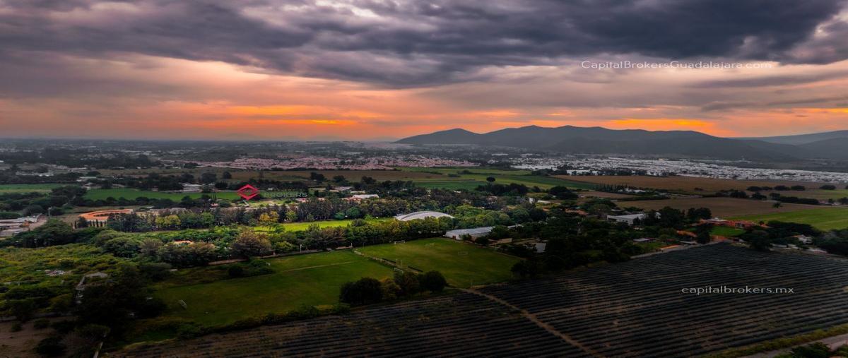 Foto de local en venta en san isidro mazatepec , san agustin, tlajomulco de zúñiga, jalisco, 28999771 No. 03