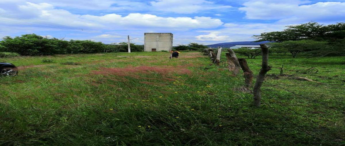 Foto de terreno habitacional en venta en  , san isidro mazatepec, tala, jalisco, 24854558 No. 02