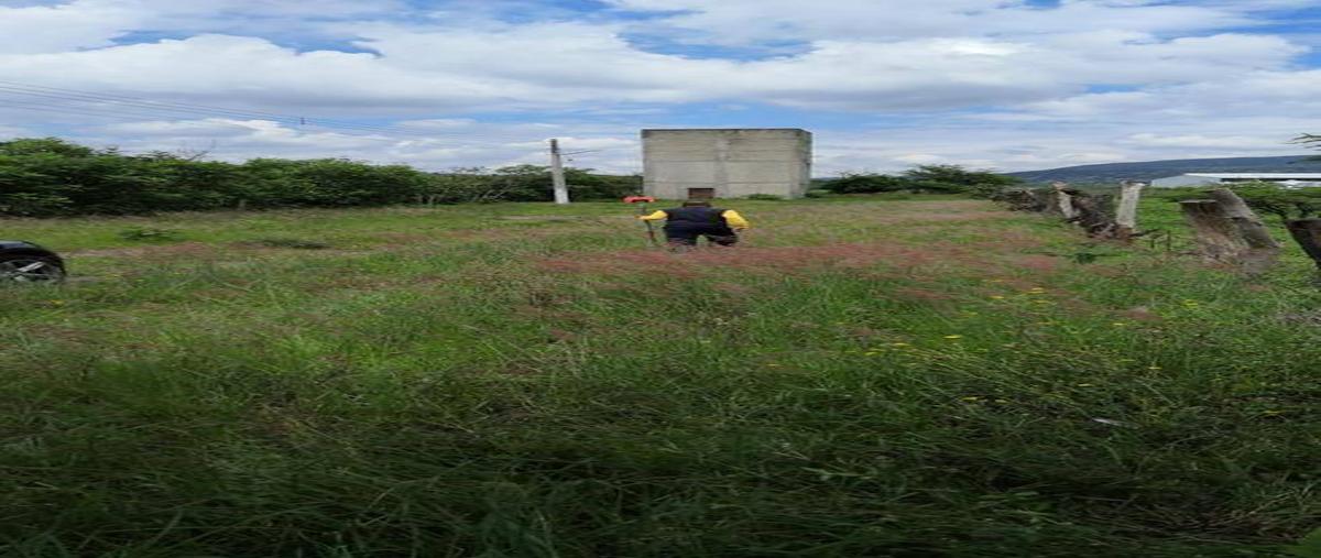 Foto de terreno habitacional en venta en  , san isidro mazatepec, tala, jalisco, 24854558 No. 03