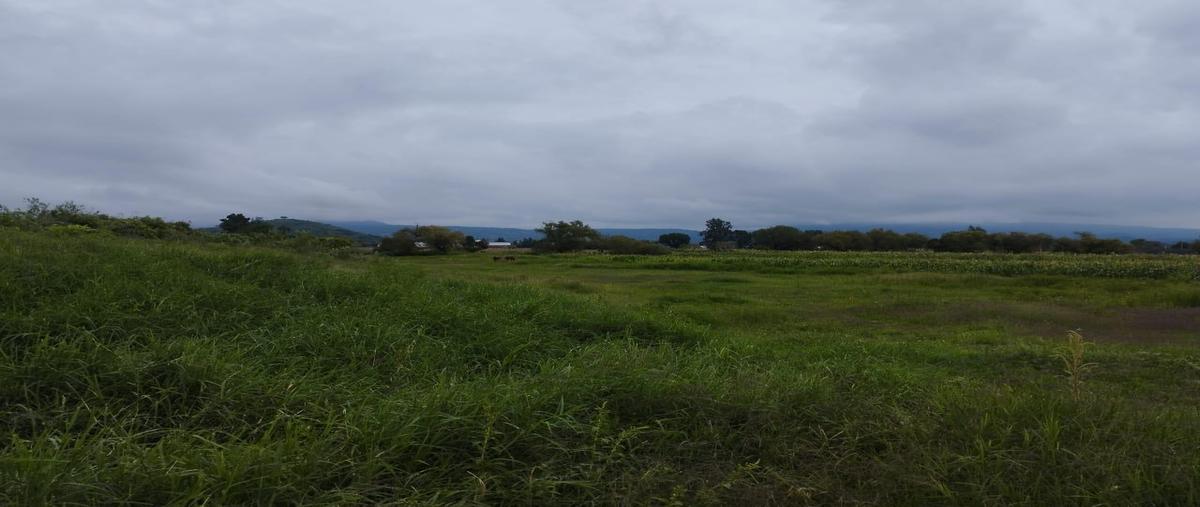 Foto de terreno habitacional en venta en  , san isidro mazatepec, tala, jalisco, 0 No. 03