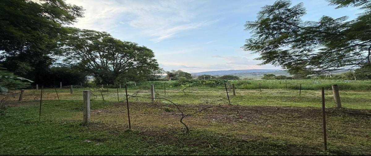 Foto de terreno habitacional en venta en san isidro mazatepec , villa california, tlajomulco de zúñiga, jalisco, 0 No. 04