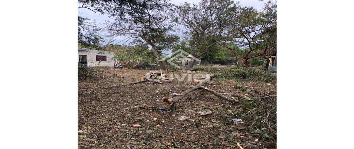 Foto de terreno habitacional en , san isidro, pueblo viejo, veracruz de ignacio de la llave, 21235228 foto 04 Foto de terreno habitacional en venta en , san isidro, pueblo viejo, veracruz de ignacio de la llave, 21235228 No. 04