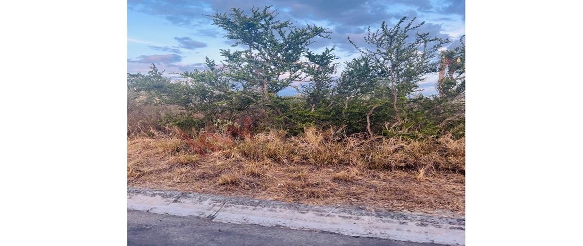 Foto de terreno habitacional en san isidro , real de zuazua, general zuazua, nuevo león, 0 foto 04 Foto de terreno habitacional en venta en san isidro , real de zuazua, general zuazua, nuevo león, 0 No. 04