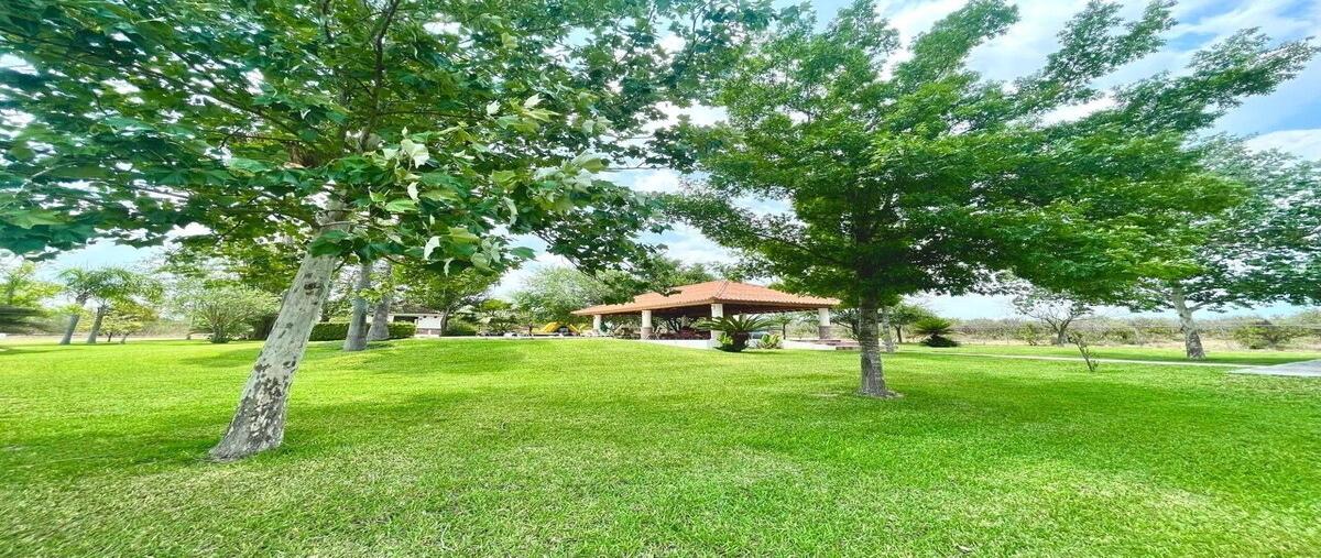 Foto de rancho en venta en san isidro , san isidro, cadereyta jiménez, nuevo león, 0 No. 04