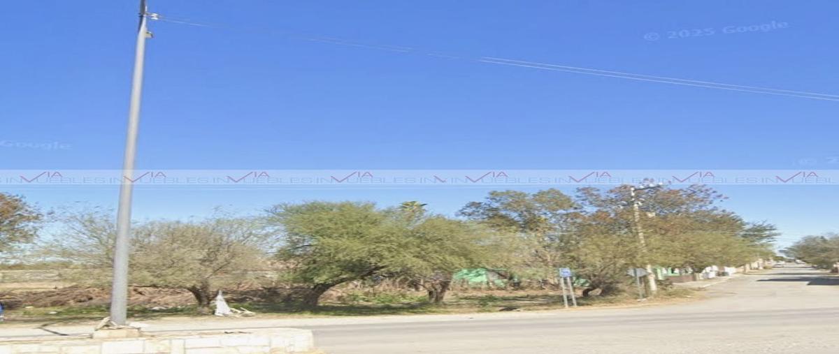 Foto de terreno comercial en renta en san isidro , san isidro, china, nuevo león, 30903103 No. 03