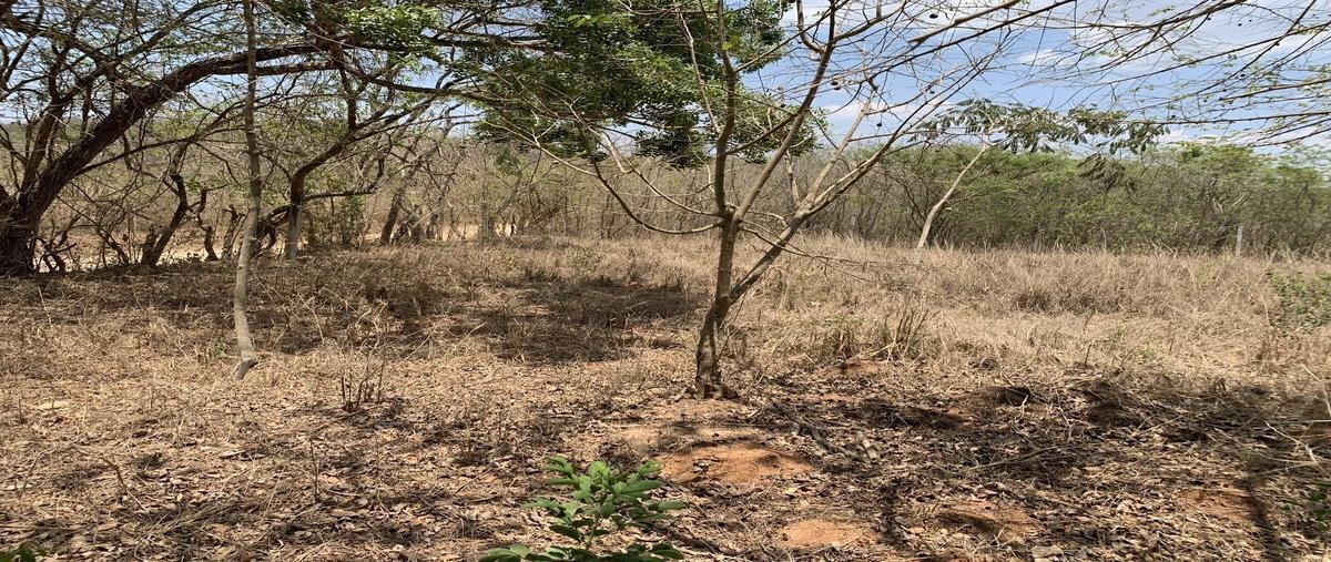 Foto de terreno habitacional en , san isidro, tuxtla gutiérrez, chiapas, 0 foto 04 Foto de terreno habitacional en venta en , san isidro, tuxtla gutiérrez, chiapas, 0 No. 04