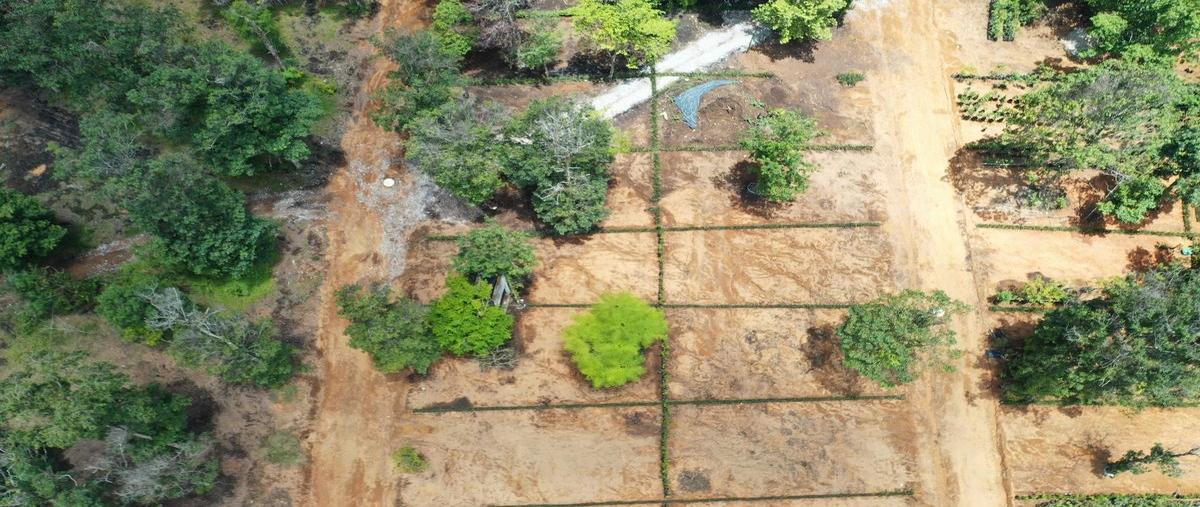 Foto de terreno habitacional en venta en  , san isidro, xicotepec, puebla, 30341000 No. 05