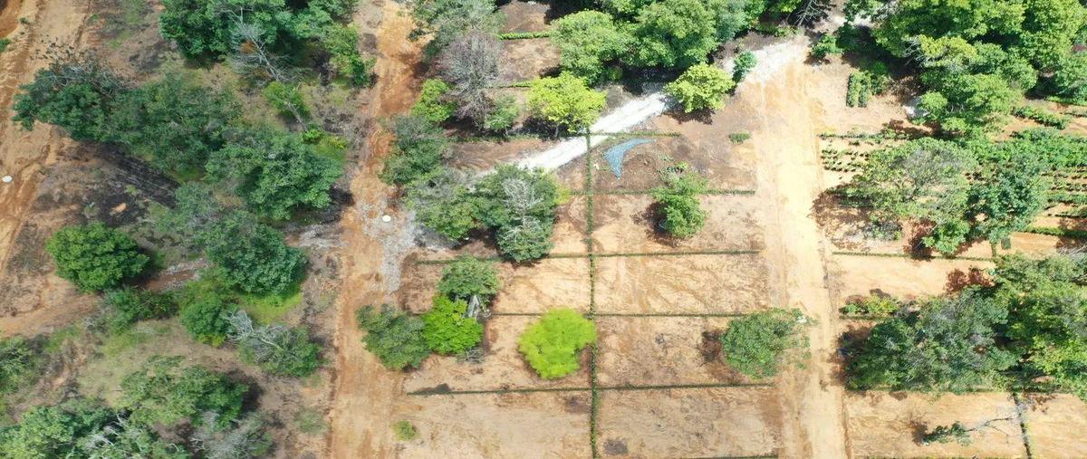 Foto de terreno habitacional en venta en  , san isidro, xicotepec, puebla, 0 No. 03