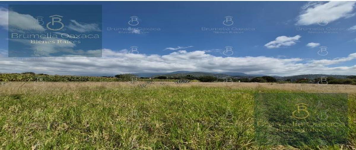Foto de terreno habitacional en venta en  , san jacinto amilpas, san jacinto amilpas, oaxaca, 30471532 No. 03