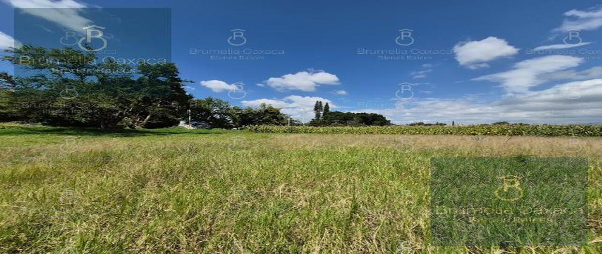 Foto de terreno habitacional en venta en  , san jacinto amilpas, san jacinto amilpas, oaxaca, 30471532 No. 04