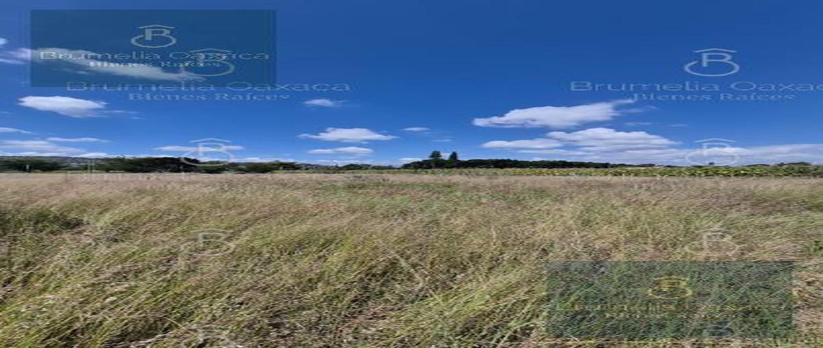 Foto de terreno habitacional en venta en  , san jacinto amilpas, san jacinto amilpas, oaxaca, 30471532 No. 05