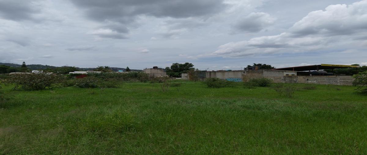 Foto de terreno habitacional en venta en  , san jacinto amilpas, san jacinto amilpas, oaxaca, 0 No. 03