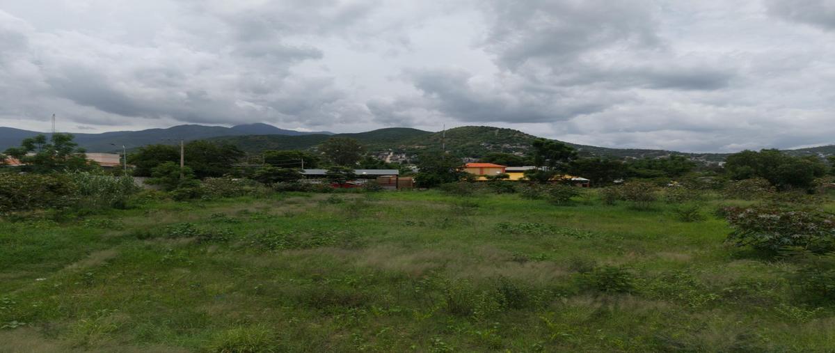 Foto de terreno habitacional en venta en  , san jacinto amilpas, san jacinto amilpas, oaxaca, 0 No. 04