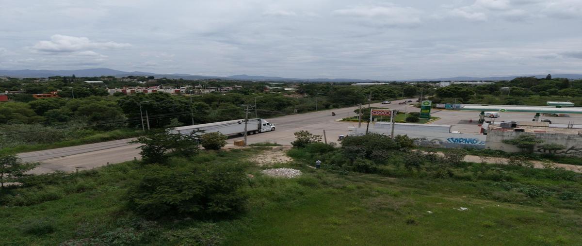 Foto de terreno habitacional en venta en  , san jacinto amilpas, san jacinto amilpas, oaxaca, 0 No. 05