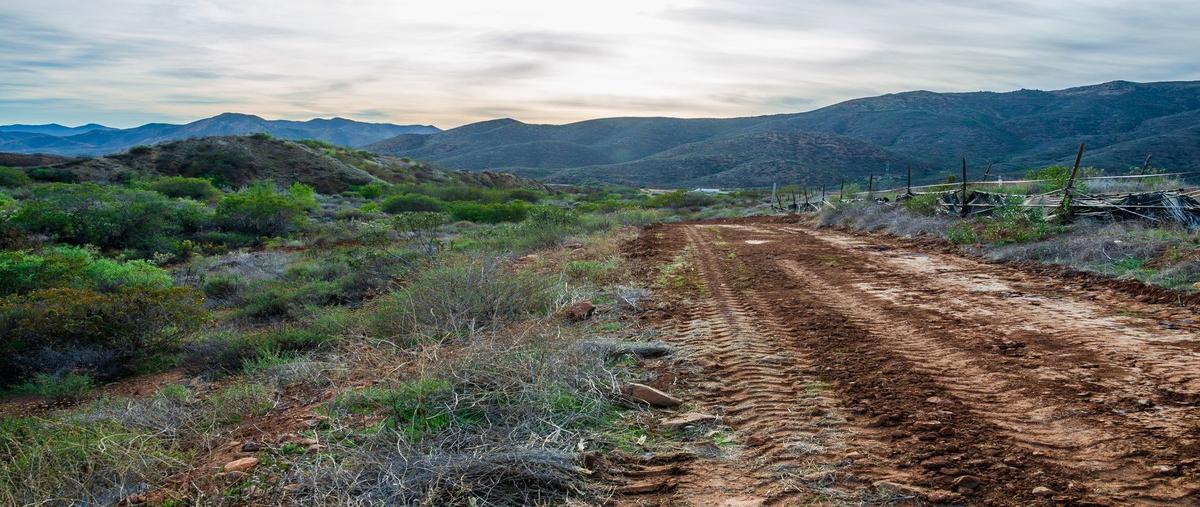 Foto de terreno habitacional en venta en  , san jacinto, ensenada, baja california, 26512996 No. 04