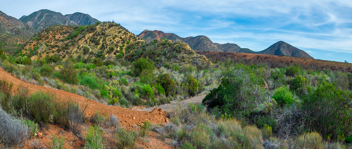 Foto de terreno habitacional en venta en  , san jacinto, ensenada, baja california, 26512996 No. 05