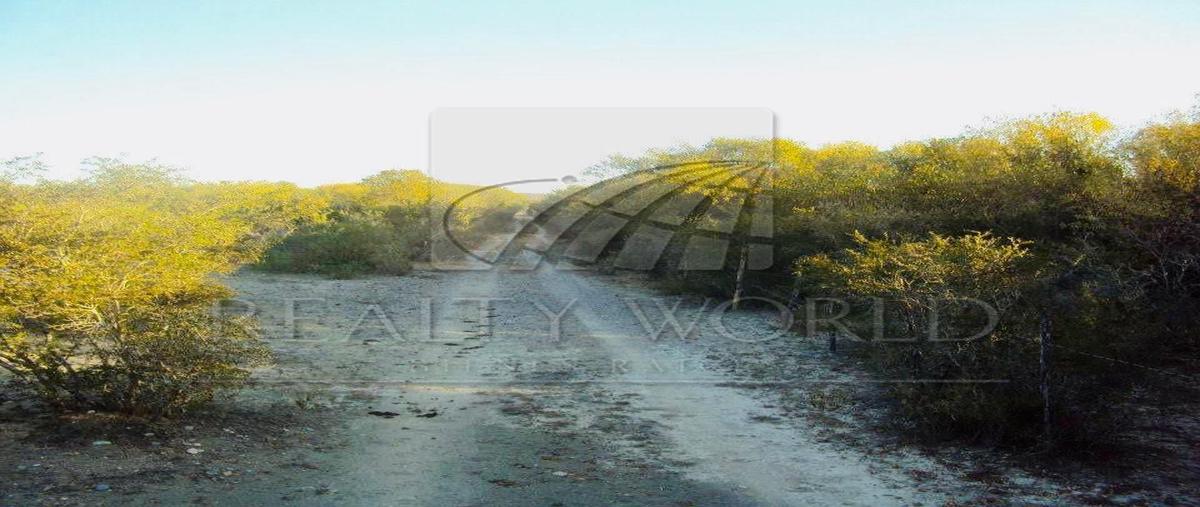 Foto de rancho en venta en  , san jacinto, linares, nuevo león, 26502998 No. 04