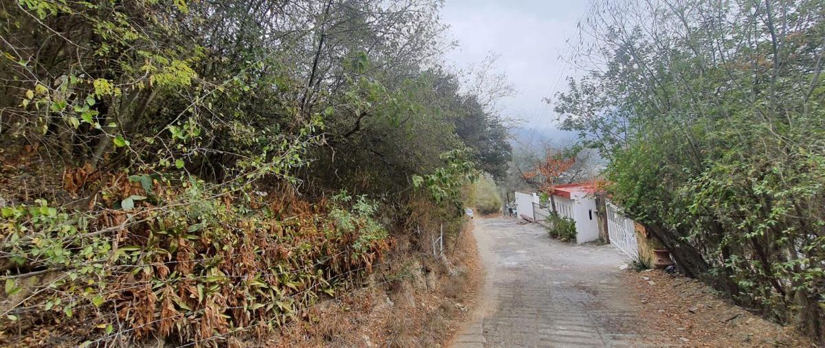 Foto de terreno habitacional en venta en san javier , san javier, santiago, nuevo león, 30308054 No. 03