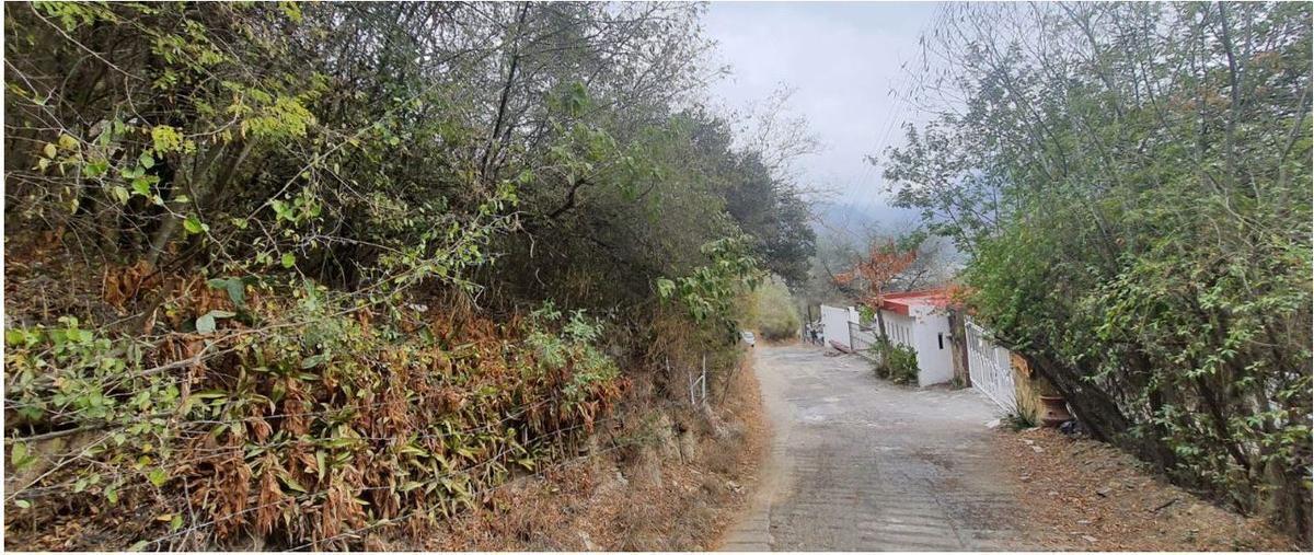 Foto de terreno habitacional en venta en  , san javier, santiago, nuevo león, 26427468 No. 04