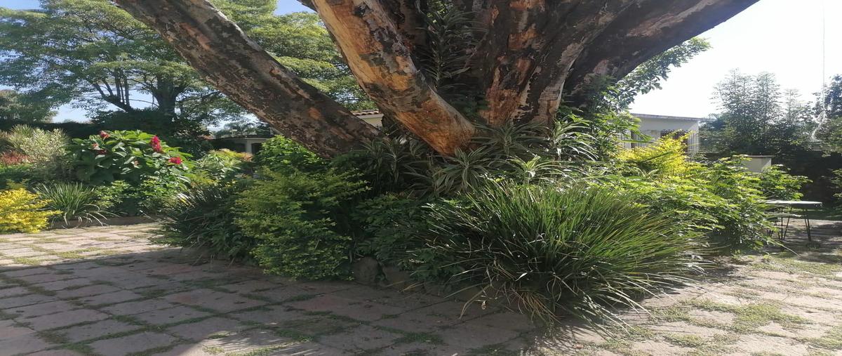 Foto de casa en venta en  , san jerónimo, cuernavaca, morelos, 27259635 No. 02