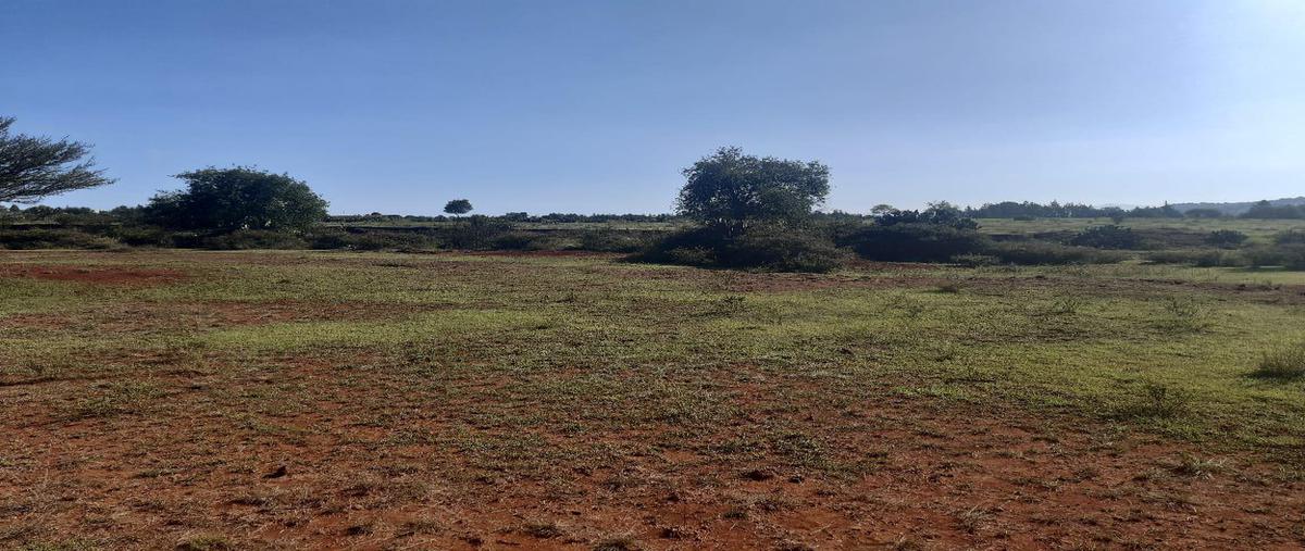 Foto de terreno habitacional en venta en  , san jerónimo, huasca de ocampo, hidalgo, 18508547 No. 04