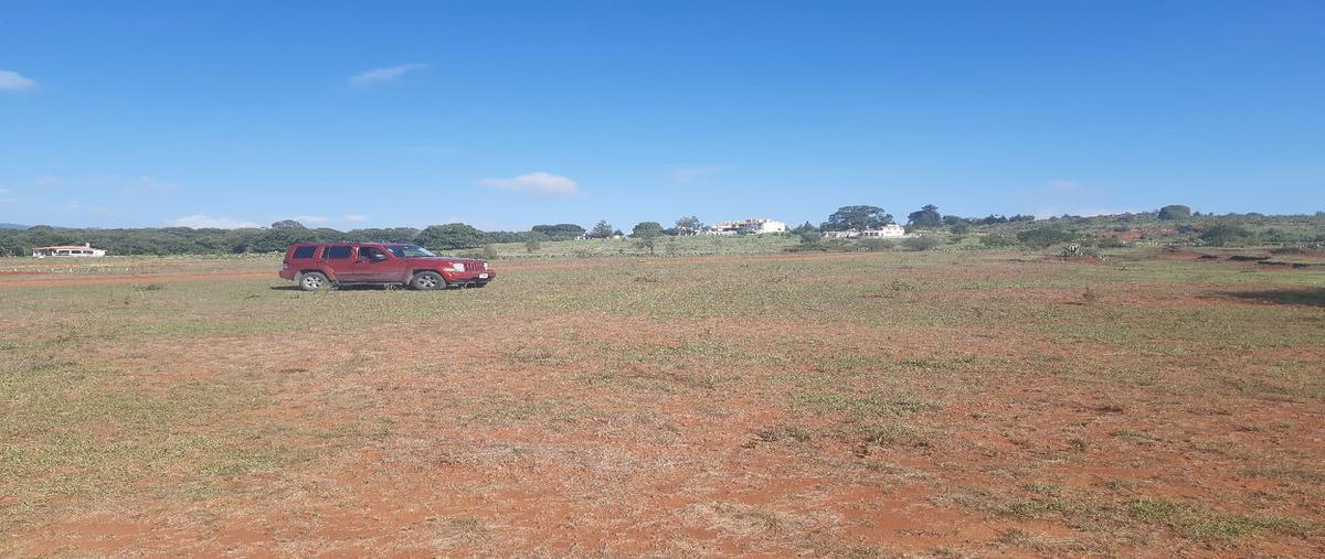 Foto de terreno habitacional en venta en  , san jerónimo, huasca de ocampo, hidalgo, 0 No. 05