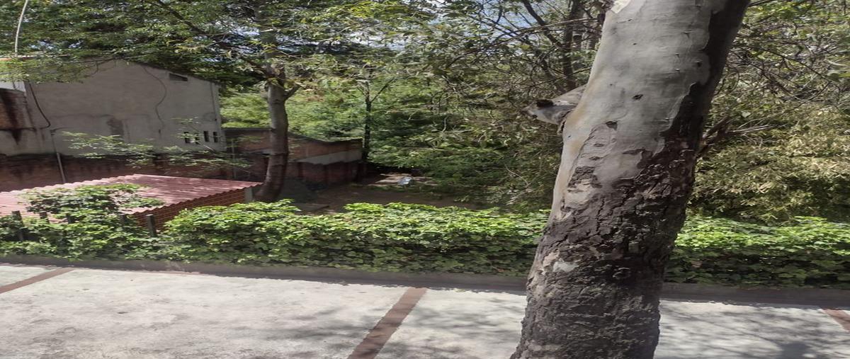 Foto de departamento en venta en san jerónimo lídice, la magdalena contreras, ciudad de méxico, 10300 , san bernabé ocotepec, la magdalena contreras, df / cdmx, 0 No. 03