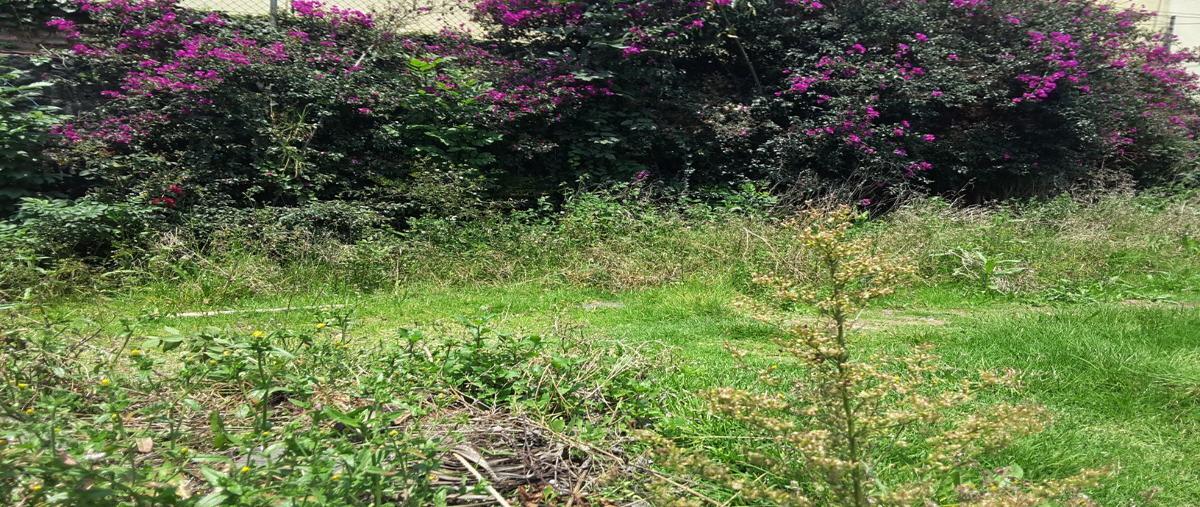 Foto de terreno habitacional en venta en  , san jerónimo lídice, la magdalena contreras, df / cdmx, 26990019 No. 04