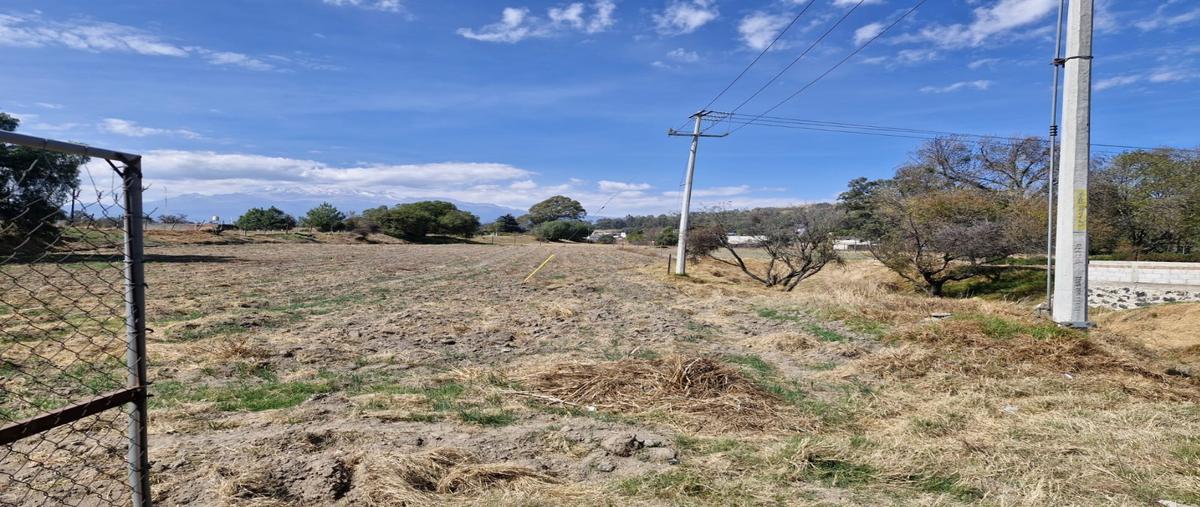 Foto de terreno habitacional en venta en  , san jerónimo tianguismanalco, san martín texmelucan, puebla, 0 No. 04