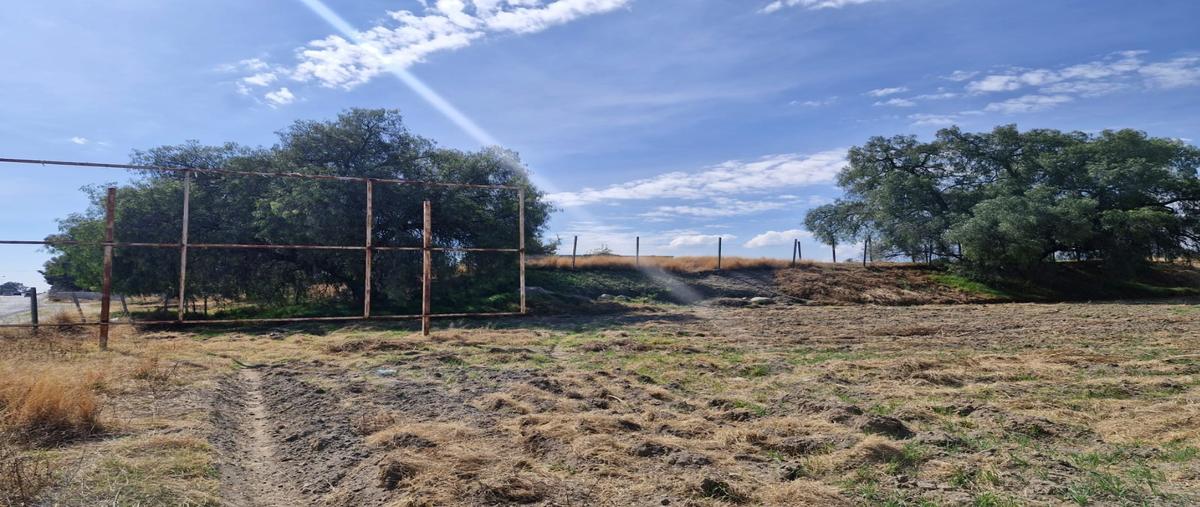 Foto de terreno habitacional en venta en  , san jerónimo tianguismanalco, san martín texmelucan, puebla, 0 No. 05