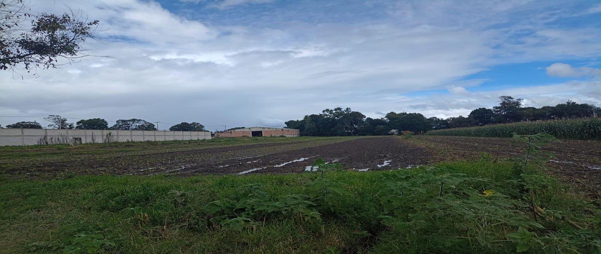 Foto de terreno habitacional en , san jerónimo tianguismanalco, san martín texmelucan, puebla, 30075259 foto 02 Foto de terreno habitacional en venta en , san jerónimo tianguismanalco, san martín texmelucan, puebla, 30075259 No. 02