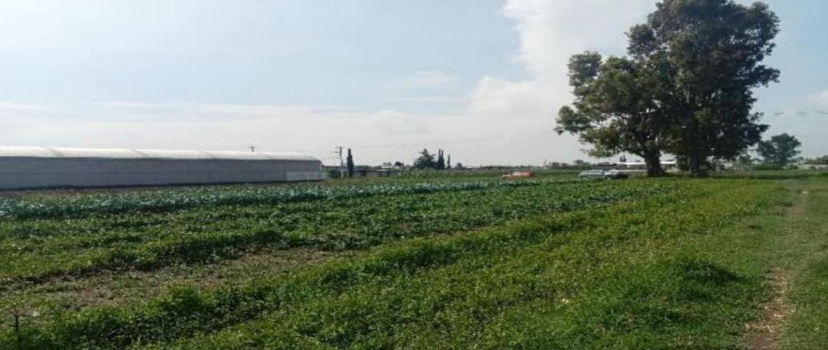 Foto de terreno habitacional en , san jerónimo tianguismanalco, san martín texmelucan, puebla, 30075259 foto 03 Foto de terreno habitacional en venta en , san jerónimo tianguismanalco, san martín texmelucan, puebla, 30075259 No. 03